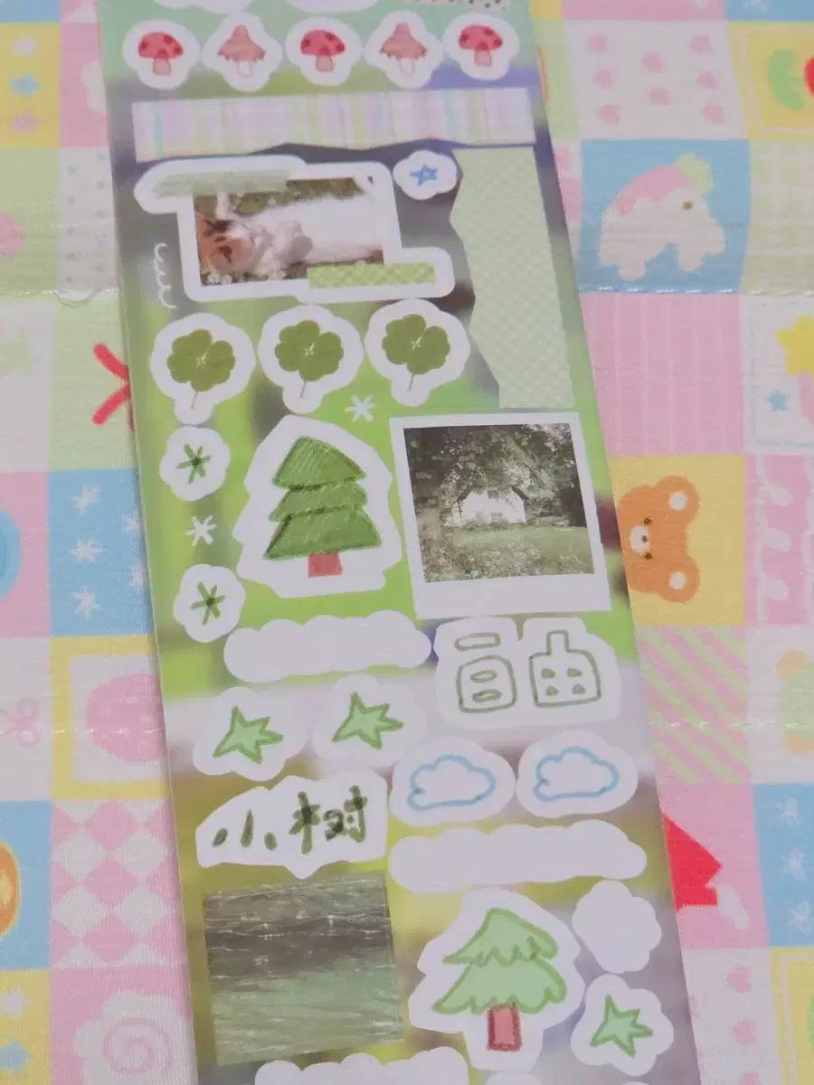 thumbnail-2
